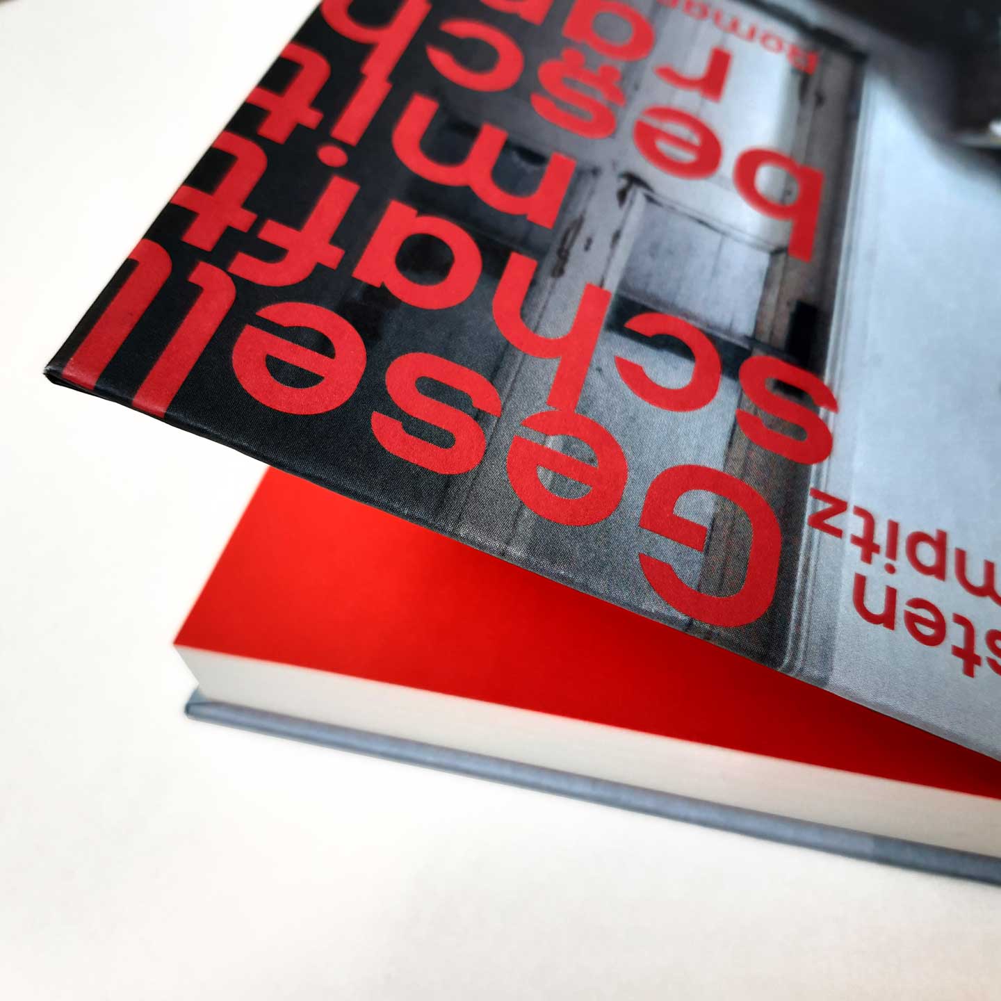 Pedro im Coverdesign von Maja Bechert für »Gesellschaft mit Beschränkter Haftung«, erschienen bei Edition Nautilus